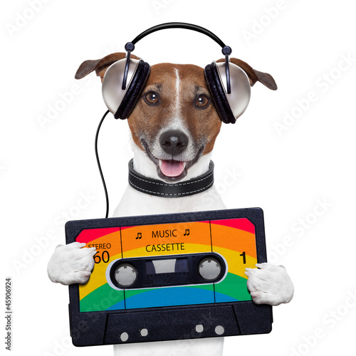 Nowoczesny obraz na płótnie music cassette tape headphone dog