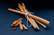 Cinnamon bunch and loose sticks on deep blue background