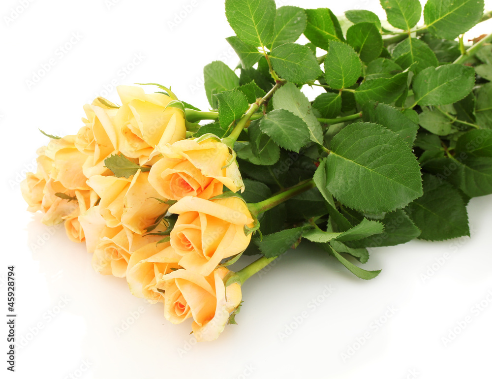 beautiful bouquet of roses isolated on white