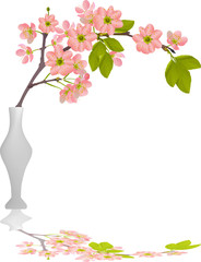 Wall Mural - cherry blossom branch in vase with reflection