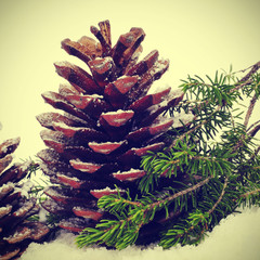 Wall Mural - pine cones on the snow