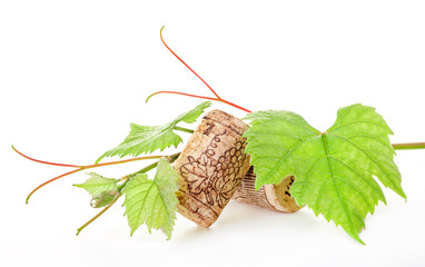 Wine cork with grape illustration and green leaves. on white