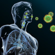 Grüne Viren befallen den Atemwegstrakt II