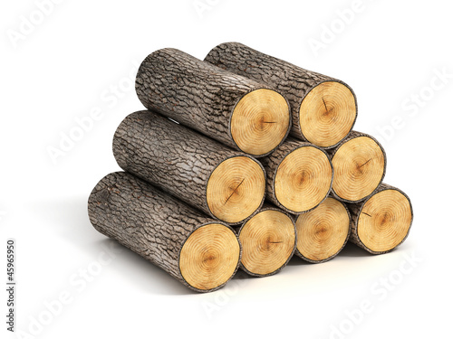 stack of firewood logs on white background Poster Mural XXL