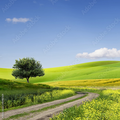 Foto-Leinwand ohne Rahmen - Field,tree and blue sky (von Vitaly Krivosheev)