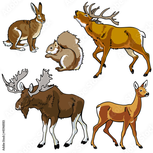 Naklejka dekoracyjna set of forest animals