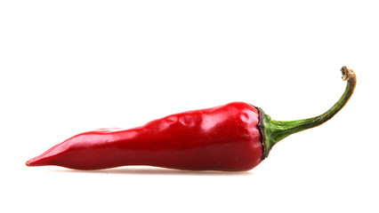 fresh red hot pepper on a white background.