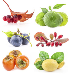 Poster - Collection of berry and fruit isolated on white background