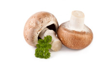 Fresh Mushrooms Champignon Isolated On White
