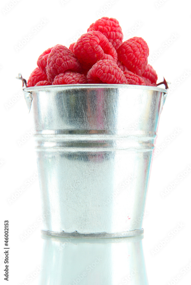 beautiful raspberries in bucket isolated on white