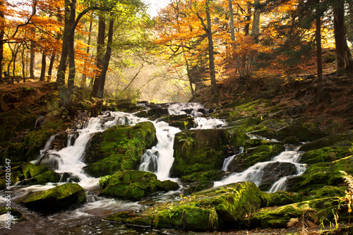 Naklejka - mata magnetyczna na lodówkę im Herbst - Wasserfall im Wald