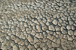 Dry and cracked ground