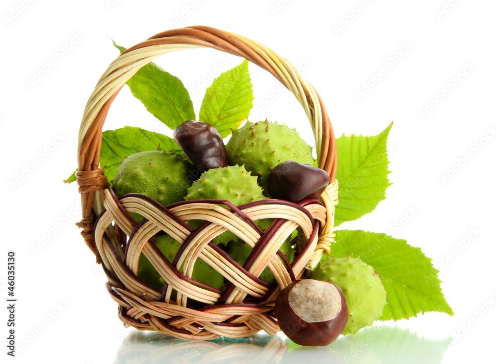 Chestnuts with leaves in basket, isolated on white