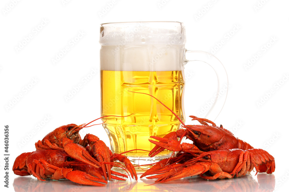 Tasty boiled crayfishes and beer isolated on white