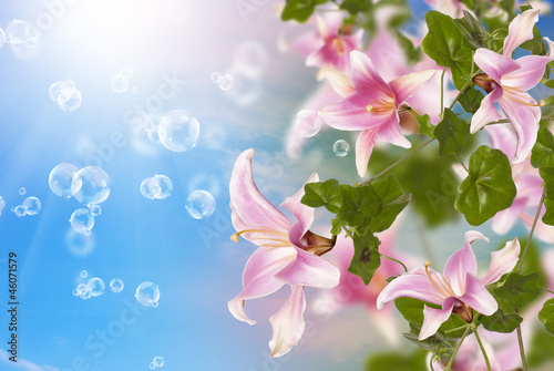 Summer sunny nature.Exotic flowers