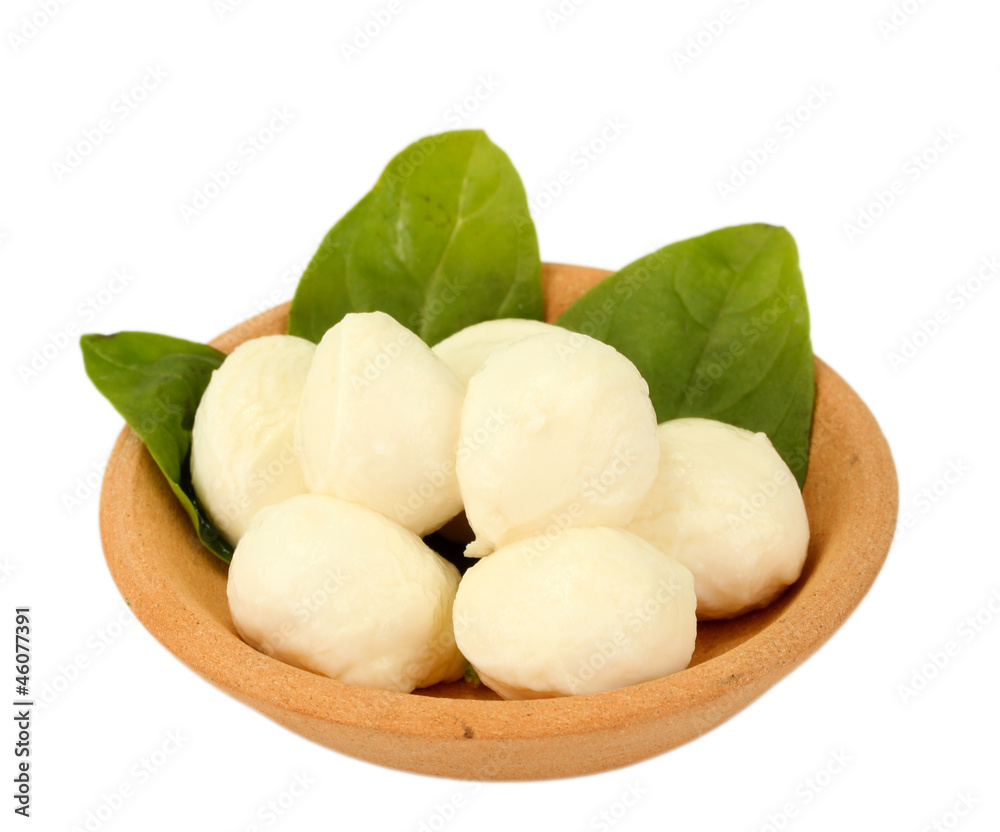 cheese mozzarella with green basil in the clay plate isolated