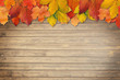 Autumn leaves over wooden