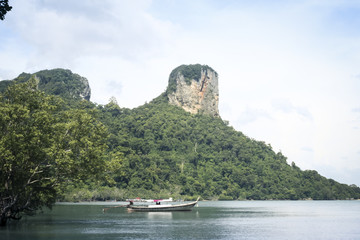 Wall Mural - krabi coastline railay mangroves longtail thailand