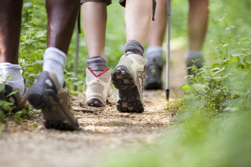 shoes of people trekking in wood and walking in row