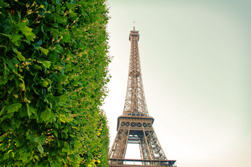 Eiffel Tower in Paris, France photographed at Champ de Mars