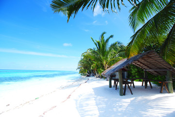 Wall Mural - tropical island