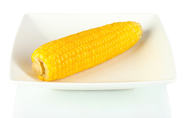 Wall Mural - boiled corn isolated on white on the white plate