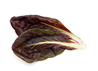 red and green chicory salads