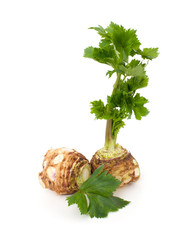 fresh celery with leaf