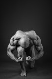 bodybuilding