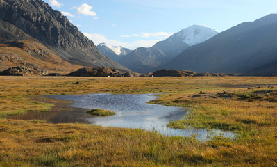 siberian alpine tundra