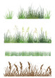 grass strips collection isolated on white