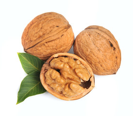 Poster - walnuts with leafs