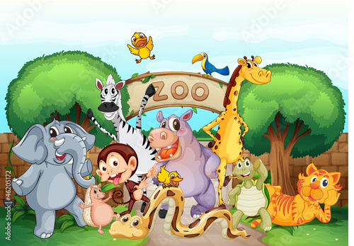 Obraz w ramie a zoo and the animals