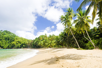 Sticker - Englishman's Bay, Tobago