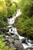 Fototapeta Las - Torc Waterfall