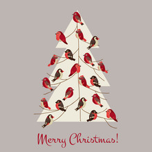 Retro Christmas Card - Winter Birds On Christmas Tree - For Invi