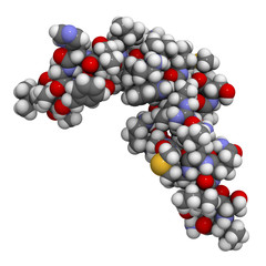 Poster - Human parathyroid hormone (PTH, parathormone, parathyrin), chemi