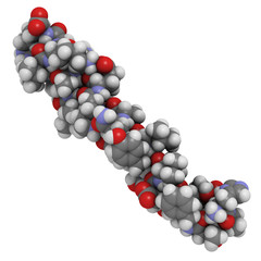 Canvas Print - Glucagon-like Peptide 1 (GLP-1) molecule, chemical structure