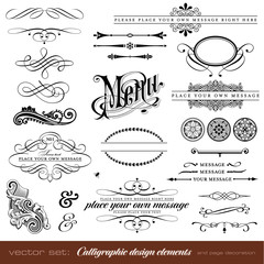 vector set: calligraphic elements and page decoration