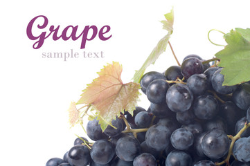 Wall Mural - Grapes