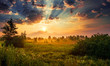 canvas print picture - Landscape, sunny dawn in a field