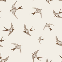 Vintage Pattern With White Little Swallows