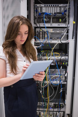 Poster - Woman checking servers using tablet pc