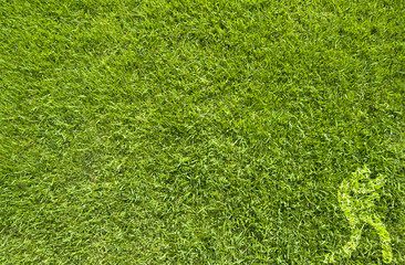 Wall Mural - Sport boxing on green grass texture and background