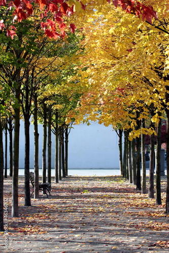 Fototapeta dla dzieci Beautiful colorful autumn in park