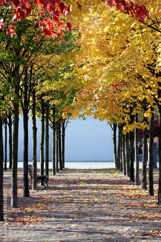 Obraz w ramie Beautiful colorful autumn in park