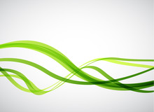Green Lines. Abstract Vector Background