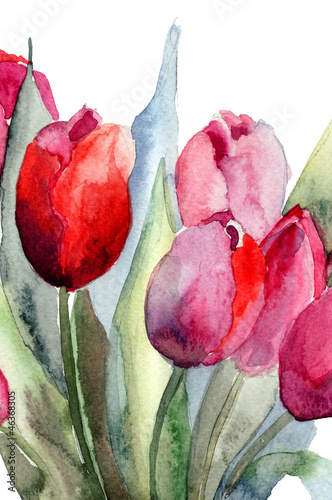 Nowoczesny obraz na płótnie Tulips flowers