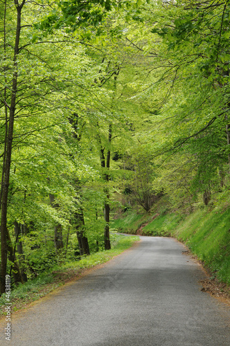 France, the road of Mont Saint Odile Monastery плакат