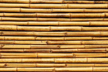 bamboo fence